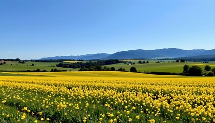 Serene Rural Landscape Wildflowers and Green Hills