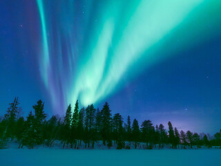 Magical Aurora Borealis dancing over a snowy winter forest. Green northern lights, starry sky, and frozen trees in Scandinavia. Majestic arctic nightscape, ethereal light show. No people. Horizontal
