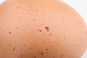 Brown Eggshell Texture Close Up Isolated Background