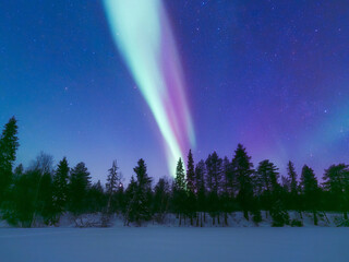 Magical Aurora Borealis dancing over a snowy winter forest. Green northern lights, starry sky, and frozen trees in Scandinavia. Majestic arctic nightscape, ethereal light show. No people. Horizontal
