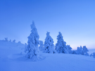 Winter mountain landscape at blue hour. Snowy fir trees, deep snowdrifts, frost and hoarfrost under twilight sky. Serene cold atmosphere, majestic peaks, crystal reflections. No people. Horizontal.