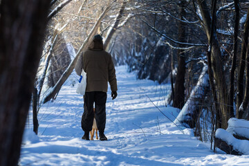 man walking in winter forest