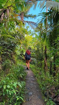 Woman walking along jungle trail in Puerto Rico. Female traveler walks away along narrow rainforest path surrounded by tropical plants.