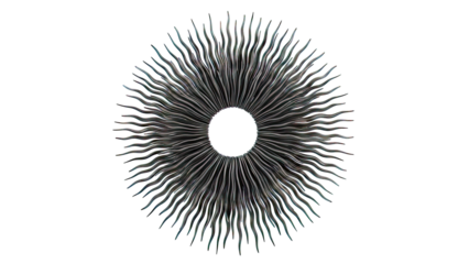 Black Sunburst Mirror