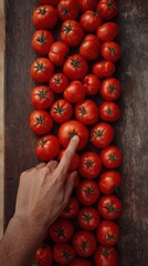 Selecting a fresh tomato