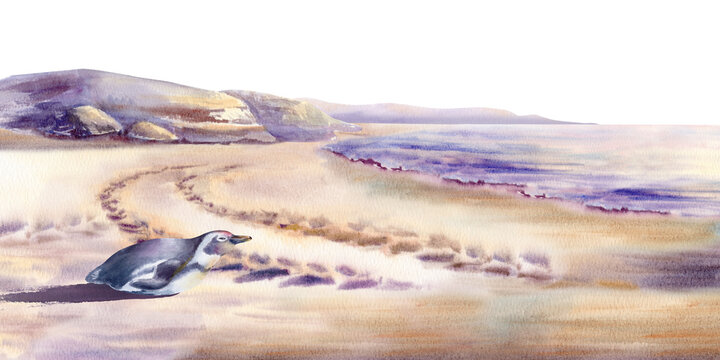 African penguin rests on coastal sand at sunset,tracks scar the sand,as a reminder of anthropogenic cause of penguin species extinction.Watercolor in soft washes for awareness campaigns