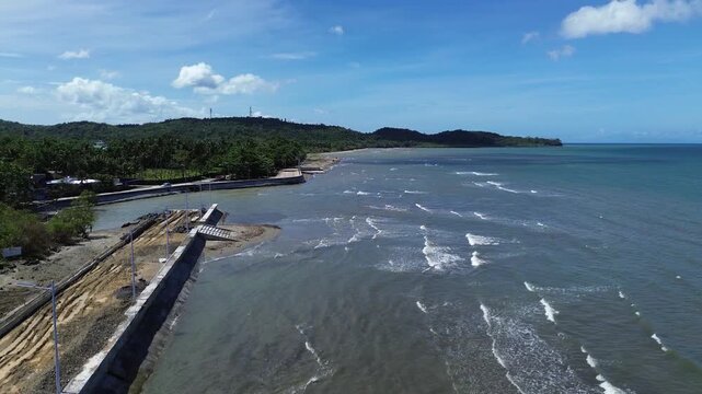 Aerial drone footage of a quiet coastal beach in Odiongan on Tablas Island, Philippines, featuring a fallen tree resting in shallow seawater, gentle waves, and distant hills in the background.