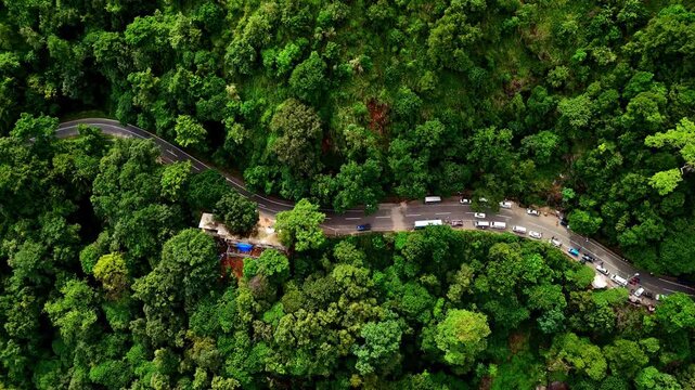 Aerial top down view of a winding mountain road cutting through dense green jungle near Ravana Falls in Ella, Sri Lanka, with cars and buses lining the tropical hillside route.