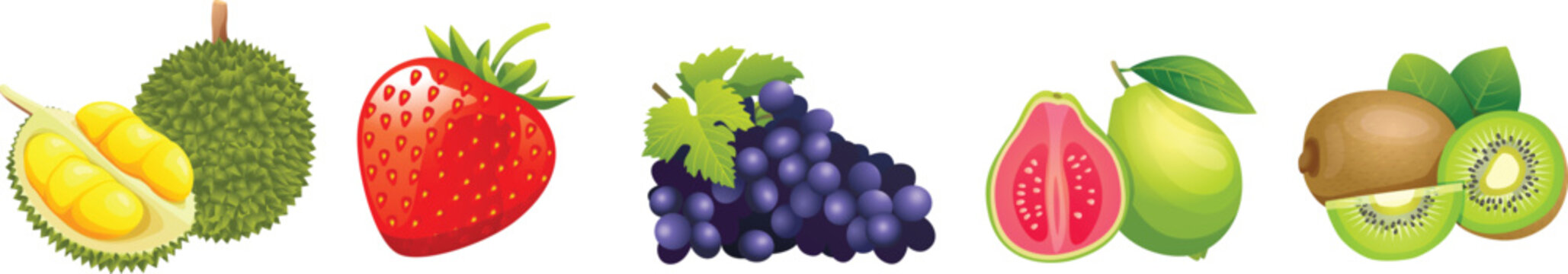 Assorted fresh fruits vector illustration, including durian, strawberry, grapes, guava, and kiwi, flat design