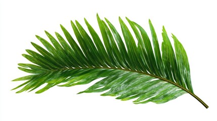 A vibrant green palm leaf displaying elegant curves and textures. Perfect for nature lovers and designers. Discover the beauty of flora and its unique aesthetics. Generative AI
