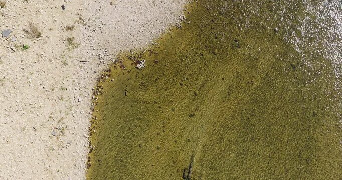 River With Shallow And Clear Water Flowing Through The Forest In Summer. - aerial tilt up shot