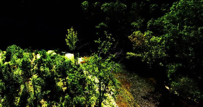 River Surrounded By Lush Green Trees On A Sunny Day. - aerial shot