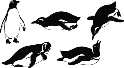 Black and white penguin silhouettes set, hand drawn aquatic bird illustrations, Antarctic wildlife icons, swimming, standing, and preening penguin vector graphics © Hello World