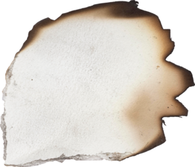 Burnt Paper: An image of a piece of paper, the edges are burned, highlighting a stark contrast between destruction and the remnant of the page.