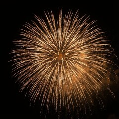 golden firework bursts against the night sky