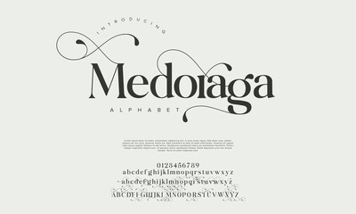 Elegant alphabet letters font logo. Typography luxury classic lettering serif italic fonts decorative wedding vintage retro logos. vector illustration