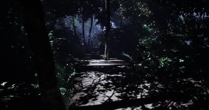 A serene forest path surrounded by dense foliage is softly lit by moonlight. Shadows dance through the trees, creating an enchanting atmosphere perfect for nighttime exploration.