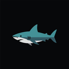 Fototapeta premium Illustration of a Teal Shark with White Underside on Black Background.