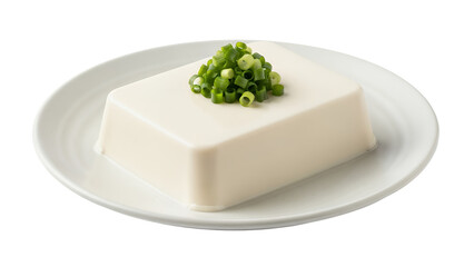 Silken tofu presented as a single smooth rectangular block placed centrally on a shallow off-white ceramic plate