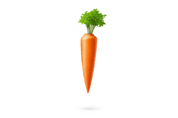 Isolated carrot with green top on transparent background illustration.
