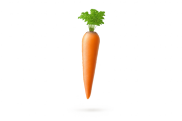 Isolated carrot with greens on a transparent background for design use