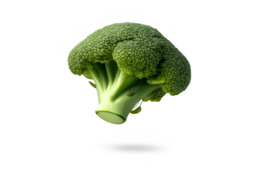Fresh Broccoli Close-Up on transparent background for Healthy Eating.
