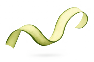 Abstract Ribbon Wave with a transparent background Illustration Art