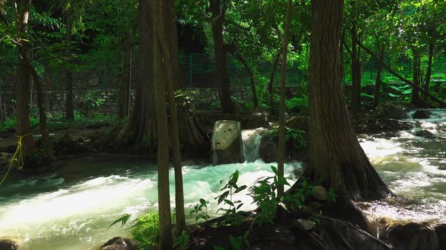 Explore Micos Waterfalls in Ciudad Valles, Huasteca Potosina, San Luis Potosi, Mexico with flowing water and lush nature