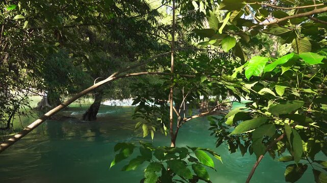 Explore Micos Waterfalls in Ciudad Valles, Huasteca Potosina, San Luis Potosi, Mexico for a daytime adventure