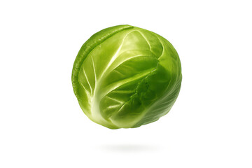 Fototapeta premium Fresh Brussels sprout on transparent background, healthy food concept