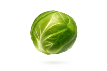 Fresh Brussels sprout on transparent background, healthy food concept