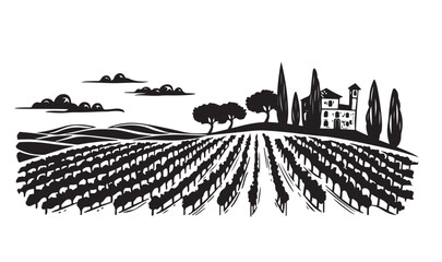 Vineyard landscape, hand drawn illustrations,  Sketch.	
