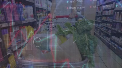 Animation of financial data processing over shopping cart - Powered by Adobe