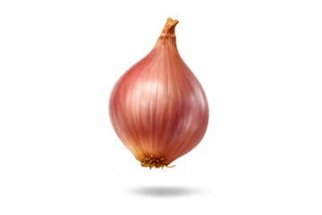 Isolated shallot with a transparent background, a bulbous root vegetable.
