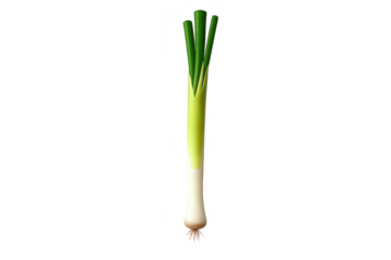 Fresh Leek isolated on a transparent background, healthy eating concept