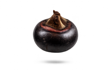 Single water chestnut on transparent background, vibrant studio shot.