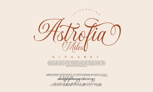 Hand drawn vector alphabet. Modern monoline signature script font. Elegant Signature Font. Best Alphabet Beautiful Calligraphy Signature Font