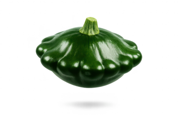 Green Pattypan squash isolated on a transparent background studio shot.