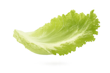 Isolated Leaf Lettuce on transparent background, Fresh and Crisp Green