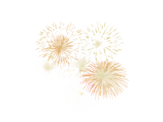 Festival colorful fireworks with sparks illustration.