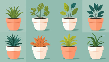 Fototapeta premium vector of plant on the pot
