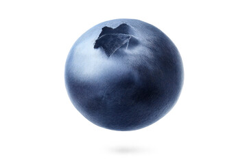 Obraz premium Single blueberry closeup on transparent background perfect for design.