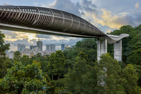 Aerial view of the Henderson Waves Bridge gracefully curving over lush greenery, juxtaposed against the distant city skyline, Henderson Road, Singapore.