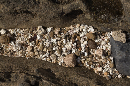Gran Canaria, El Confital beach on the edge of Las Palmas de Gran Canaria, mixture of small pebbles, shells and coral-looking Rhodolith algae
