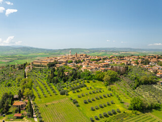 Aerial view of the old town, nestled amidst rolling green hills and neatly planted rows of olive trees under a clear blue sky, Pienza, Tuscany, Italy.