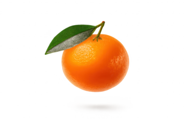 Fresh Clementine with Leaf on a transparent background for food design.