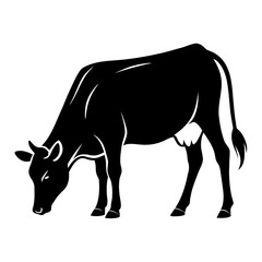 Obraz premium Ranch Livestock Bull in Confident Standing Pose