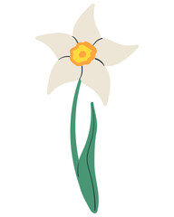 Narcissus flower. Spring hand drawn element. Flat vector pattern.
