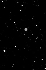 Dense snowflake particles on dark background. High quality photo