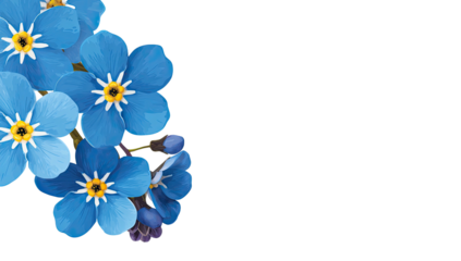 Close-up of blue blossoms with yellow centers against a stark black background